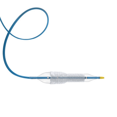 BeFlared FEVAR Stent Graft BeFlared FEVAR Stent Graft