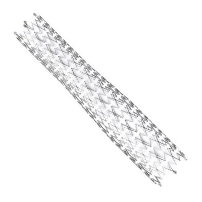 Protégé™ RX Self-expanding Peripheral and Carotid Stent (Medtronic)