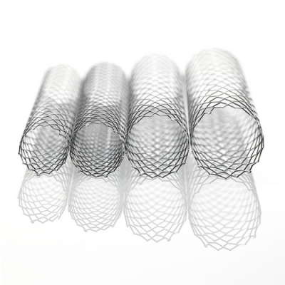 Protégé™ GPS™ Self-expanding Peripheral and Biliary Stent (Medtronic)