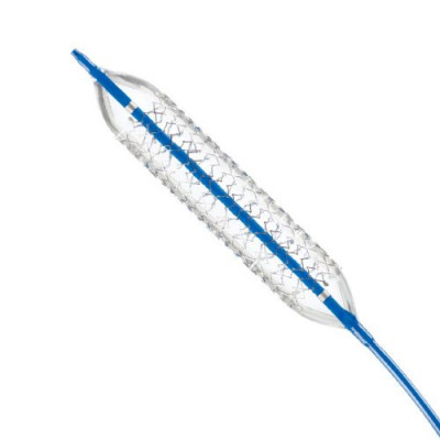 Visi-Pro™ Balloon-expandable Peripheral and Biliary Stent (Medtronic)